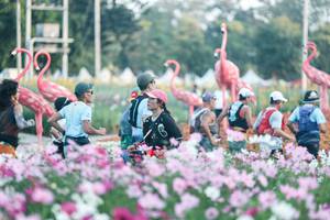 BIB: 
                            <button type="button" onclick="openModal(27344082)" class="btn btn-primary btn-sm float-right btn-popup" data-toggle="modal" data-target=".modal-high-quality">
                        <i class="fas fa-shopping-cart"></i> Add to Cart
                    </button>
                                            <button type="button" onclick="isThisMe(27344082, true)" class="btn btn-success btn-sm float-right btn-popup btn-isme hidden" data-toggle="tooltip" data-placement="bottom" title="นี่คือรูปของคุณใช่ไหม คลิกที่นี่เพื่อเอาเข้าอัลบั้ม">
                        <i class="fas fa-plus"></i> Add to album
                    </button>
                    <button type="button" onclick="isThisMe(27344082, false)" class="btn btn-warning btn-sm float-right btn-popup btn-isnotme hidden">
                        <i class="fas fa-ban"></i> Remove from album
                    </button>